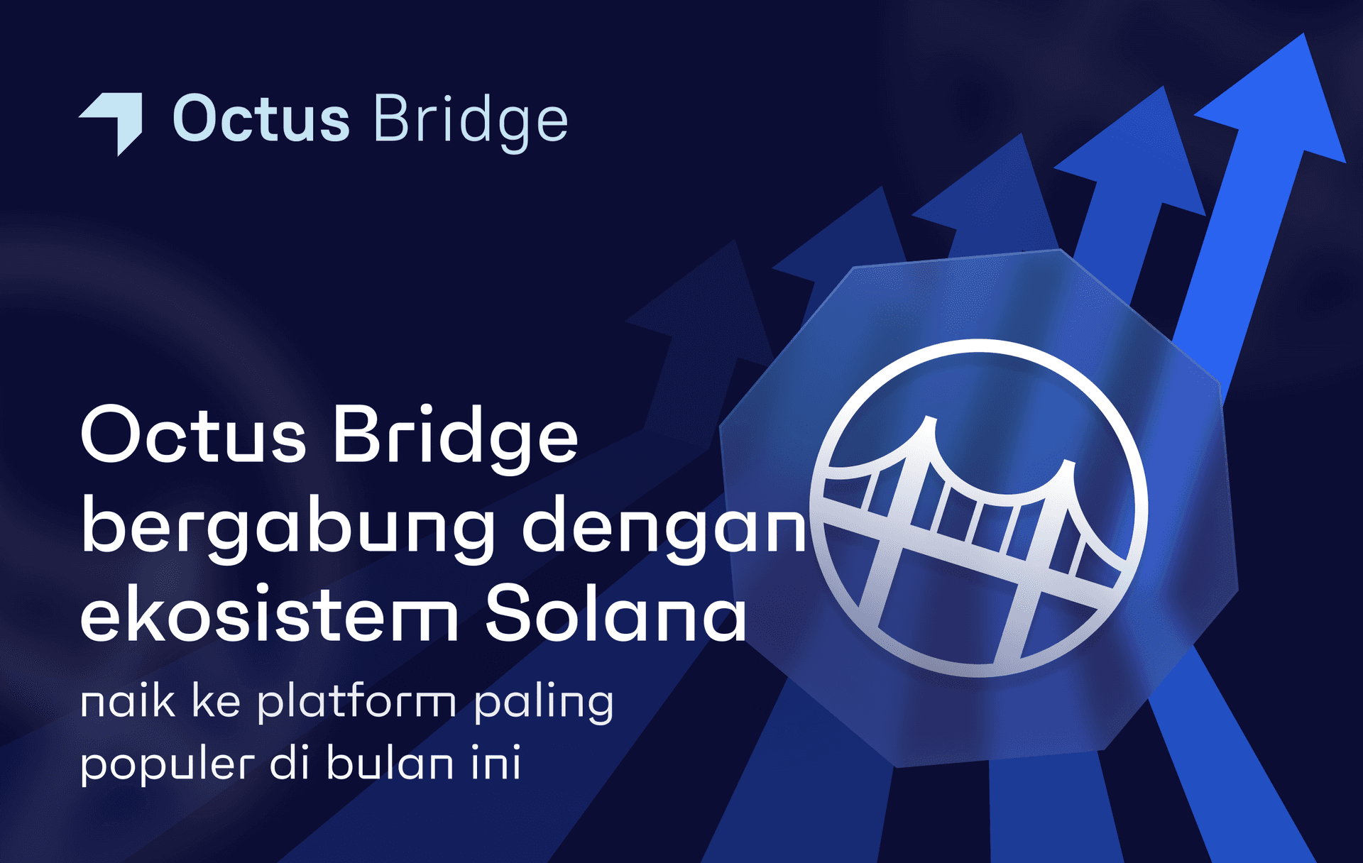 Octus Bridge Bergabung ke Ekosistem Solana, Jadi Platform Terpopuler di Bulan Ini