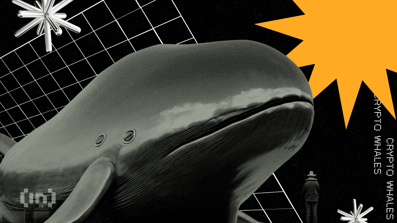 Ada 3 Altcoin yang Diborong Crypto Whale pada Minggu Ini