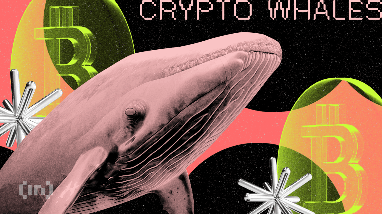 Wawancara dengan The White Whale dan MEXC – Kebenaran di Balik Dana Beku US$3 Juta