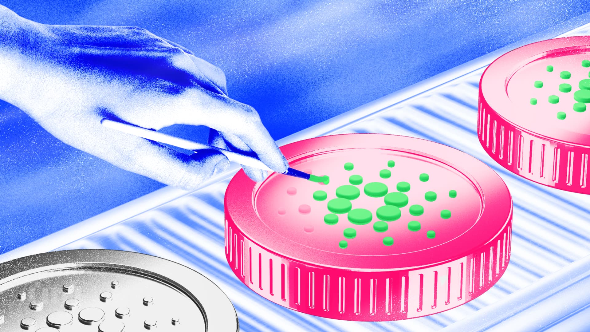 Cardano Foundation Bertujuan Mempercepat Adopsi Blockchain di Sektor Publik Brasil