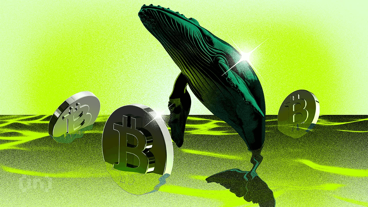Whale Bitcoin Baru Kini Memegang Mayoritas Modal BTC | Weekly Whale Watch