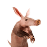 Aardvark [OLD]