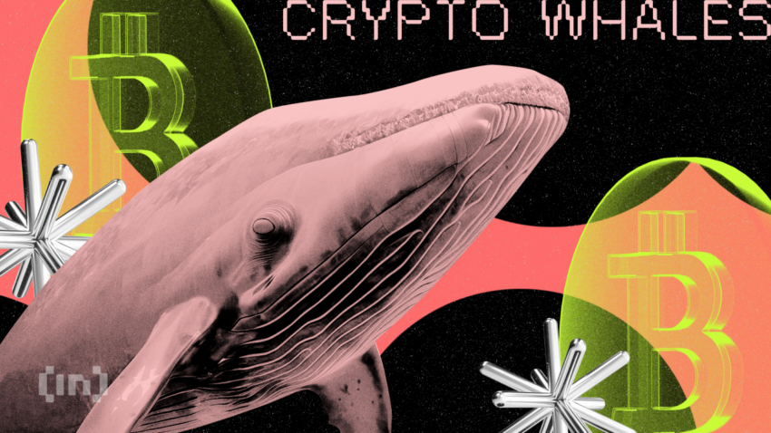 Ini Tiga Altcoin yang Diborong Para Whale Kripto untuk Potensi Profit di Bulan Juli, Mari Intip!