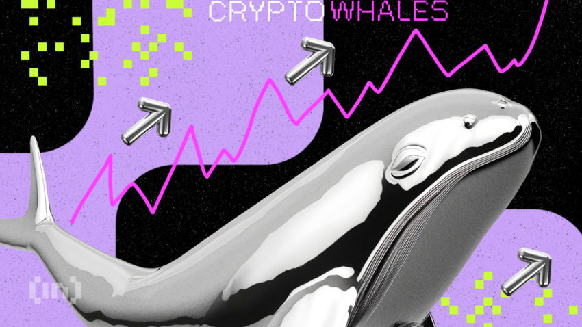 3 Altcoin yang Diborong Crypto Whale Minggu Ini, Tertarik Ikut Beli?