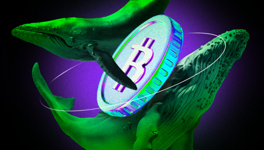 Investor ETF Wajib Was-was, Para Whale Sudah Akumulasi Bitcoin (BTC) Senilai US$3 Miliar!