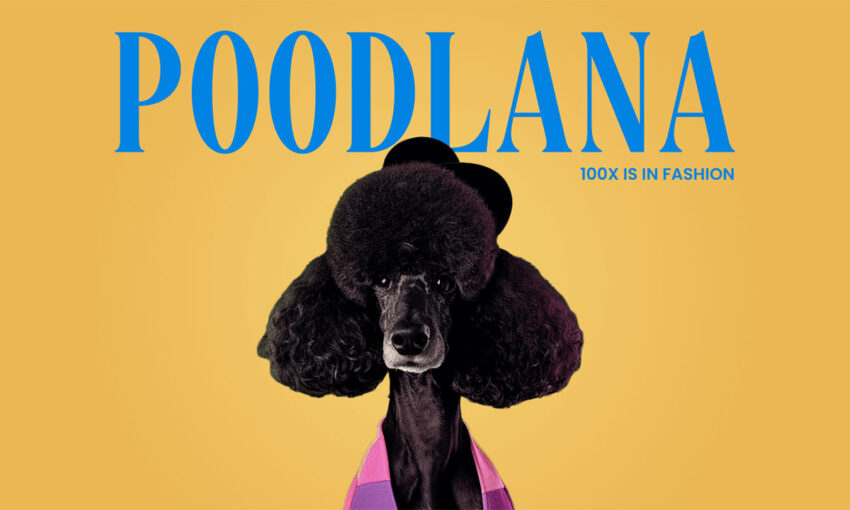 Poodlana (POODL) Mendadak Viral di Asia Jelang Peluncuran Presale, Catat Jadwalnya!