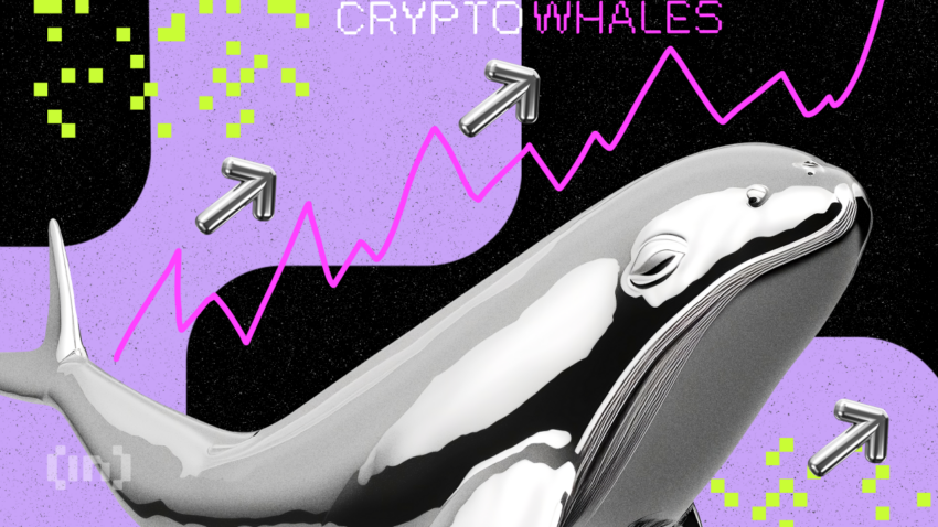 3 Altcoin Incaran Crypto Whale untuk Potensi Profit di Bulan September 2024