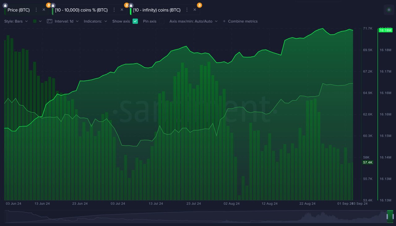 Aktivitas Whale Bitcoin.