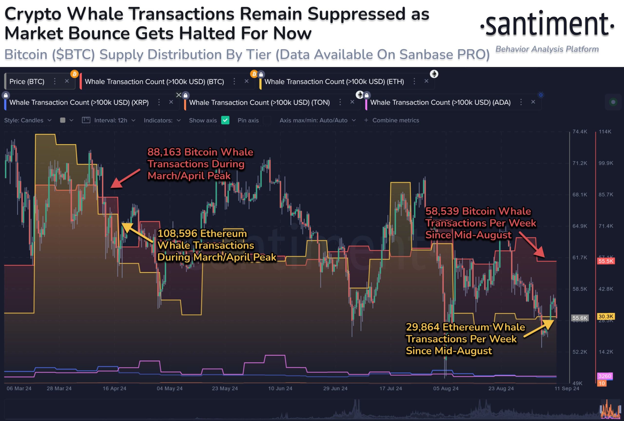 transaksi crypto whale