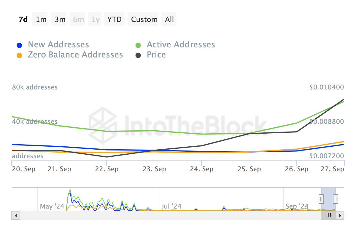 Aktivitas Jaringan Notcoin. Sumber: IntoTheBlock 