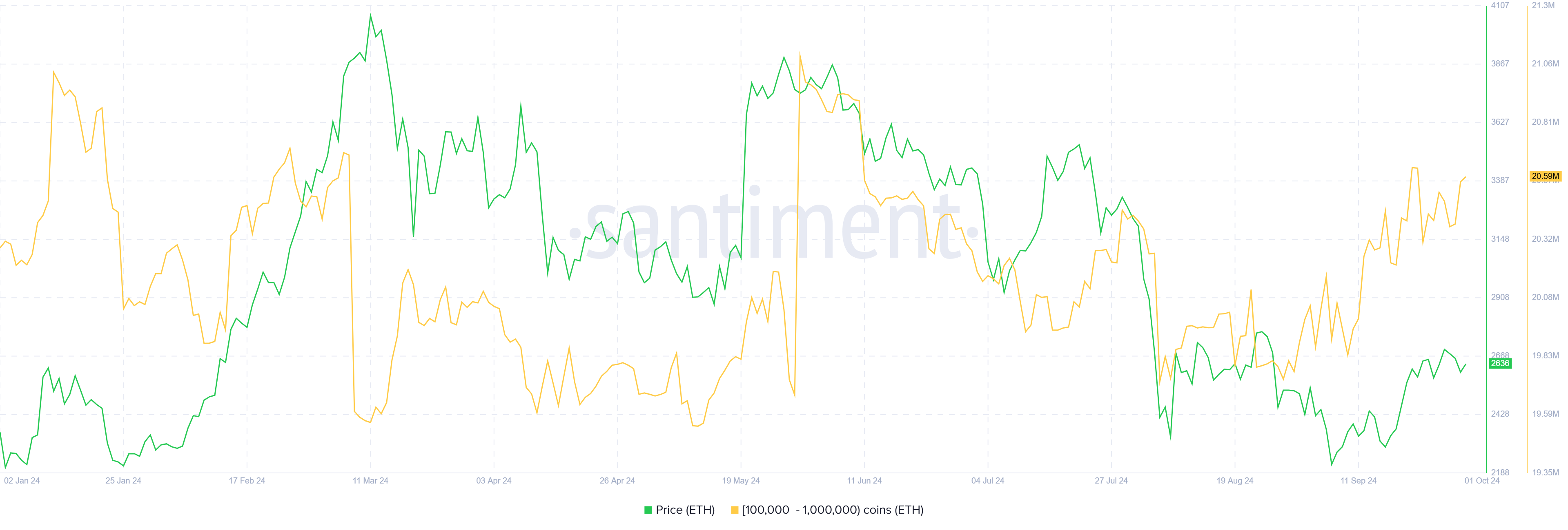 Ethereum Whale Accumulation. 