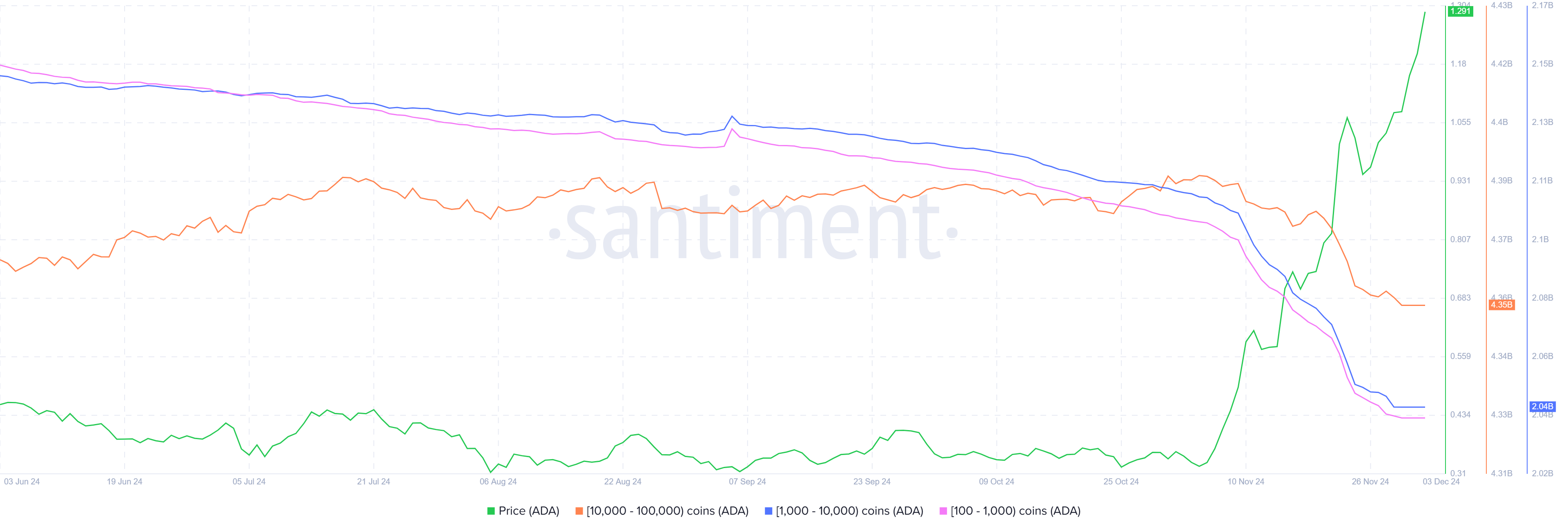 Cardano Investors' Holdings.