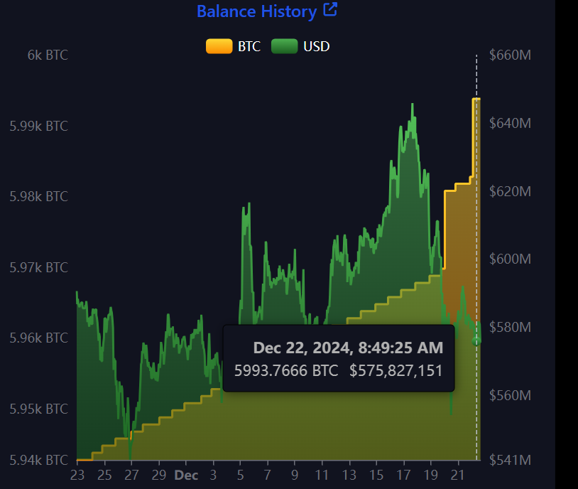 Kepemilikan Bitcoin El Salvador.