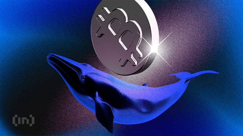 Pindahkan 3.000 BTC, Whale Bitcoin Ini Aktif Lagi sejak 2016