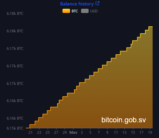 Portofolio Bitcoin El Salvador