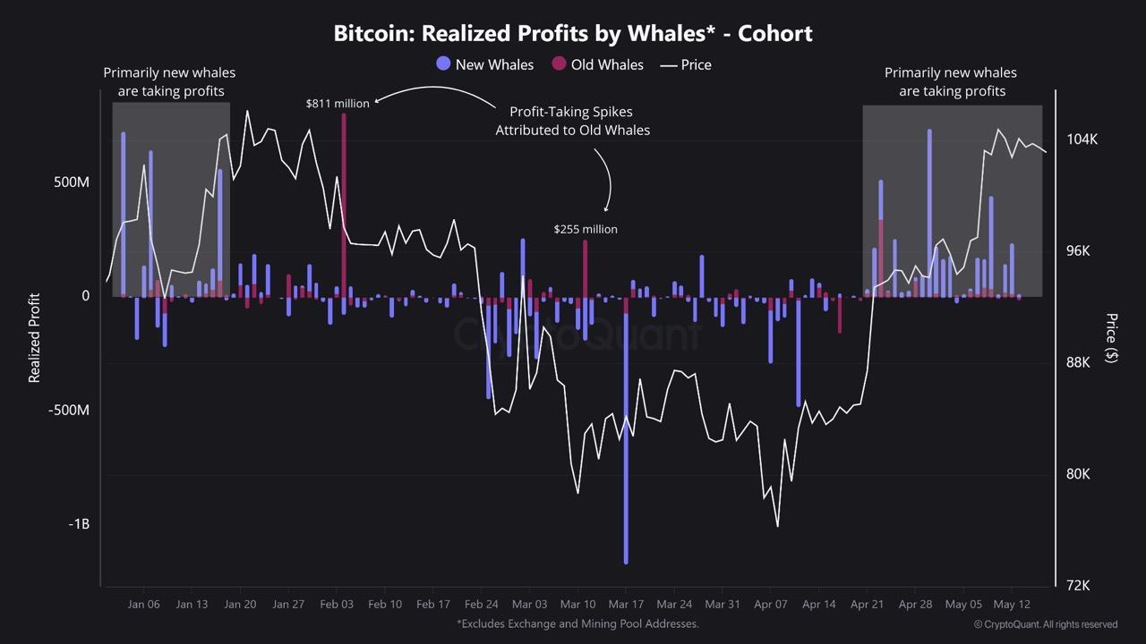 data whale bitcoin