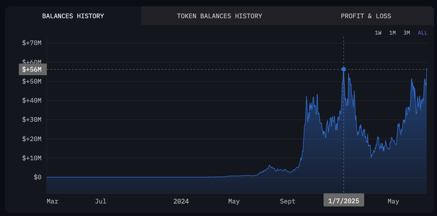 Total Nilai Portofolio Meme Coin Murad. Sumber: Arkham