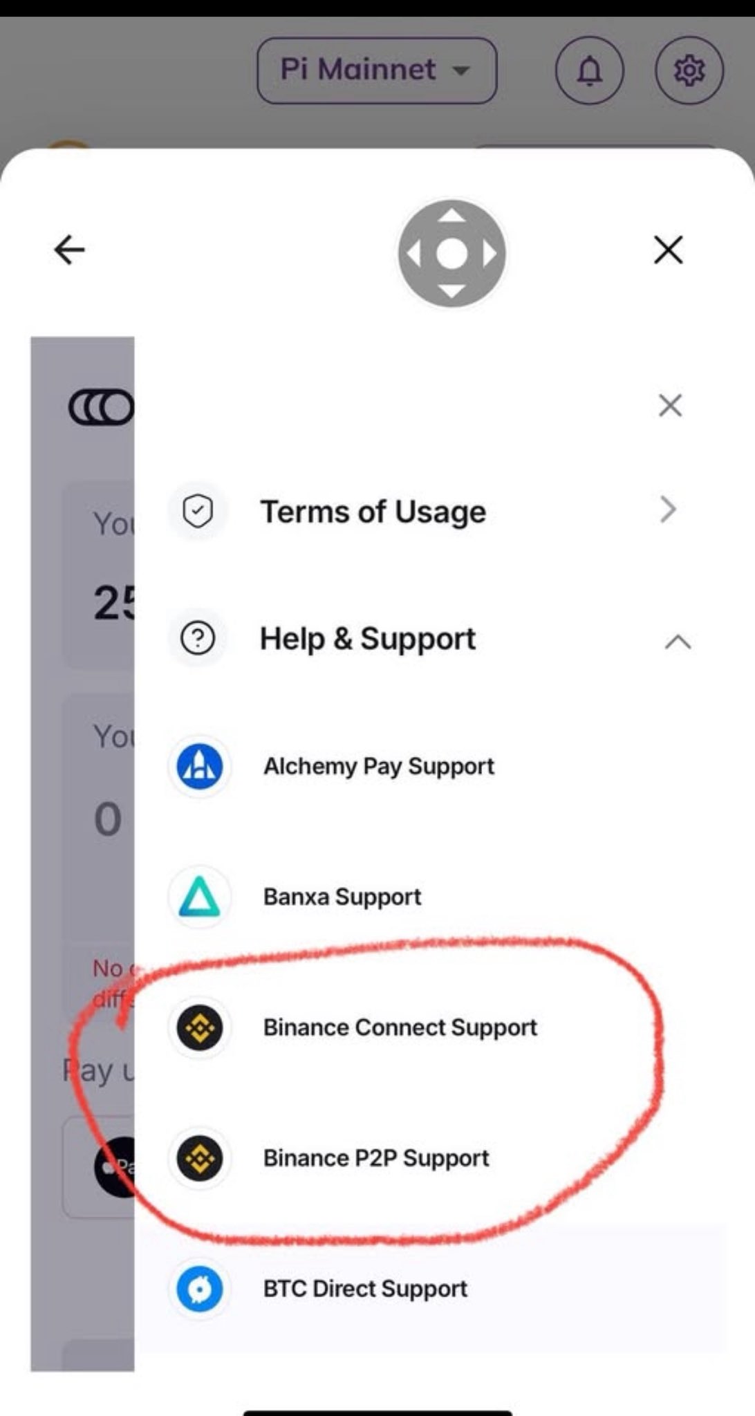 Opsi Dukungan Binance di Pi Wallet.