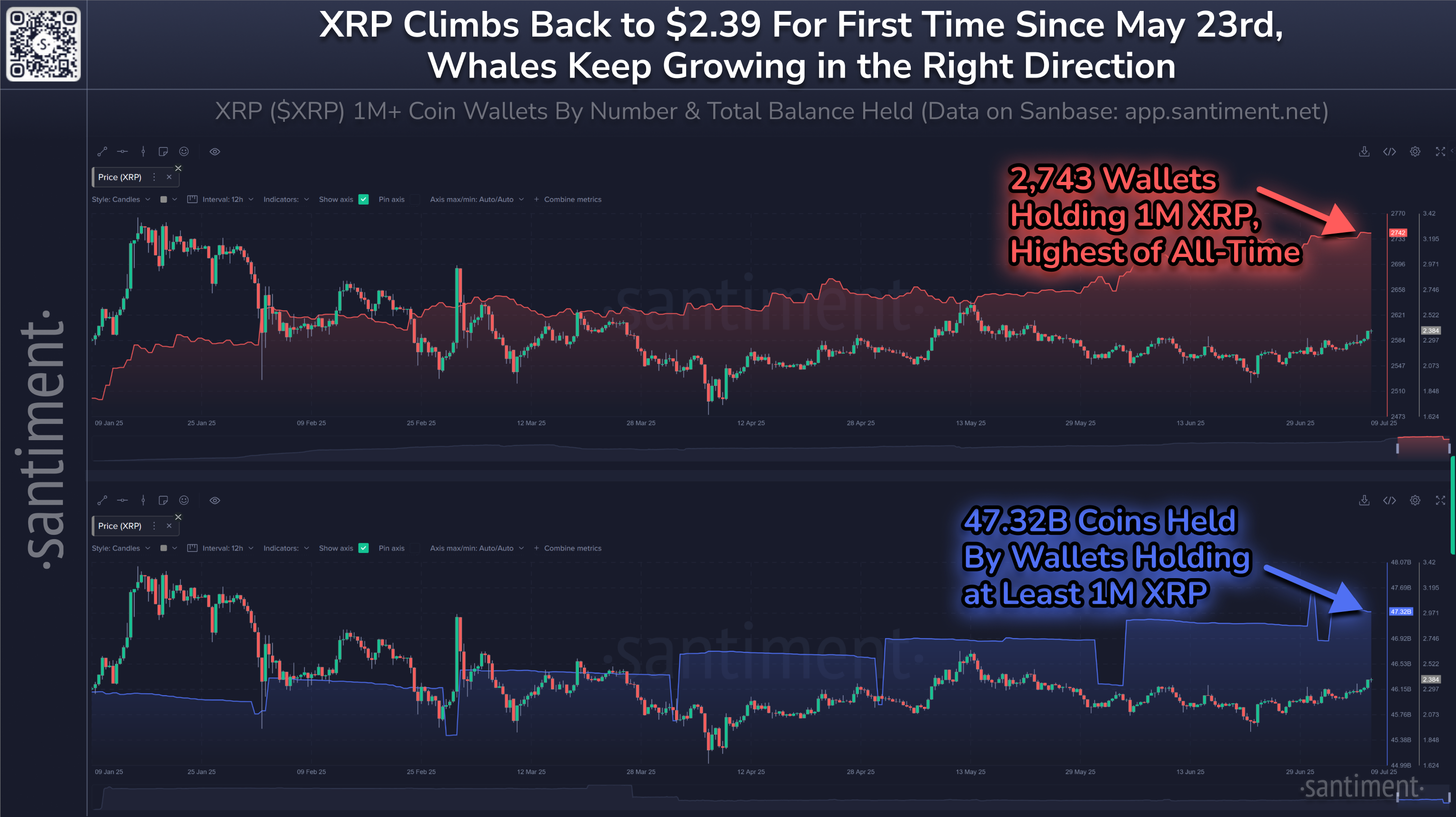 Harga XRP dan Jumlah Whale XRP Tahun Ini. Sumber: Santiment.