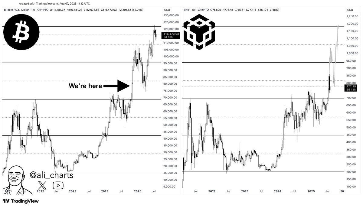 Prediksi harga BNB. Sumber: Ali