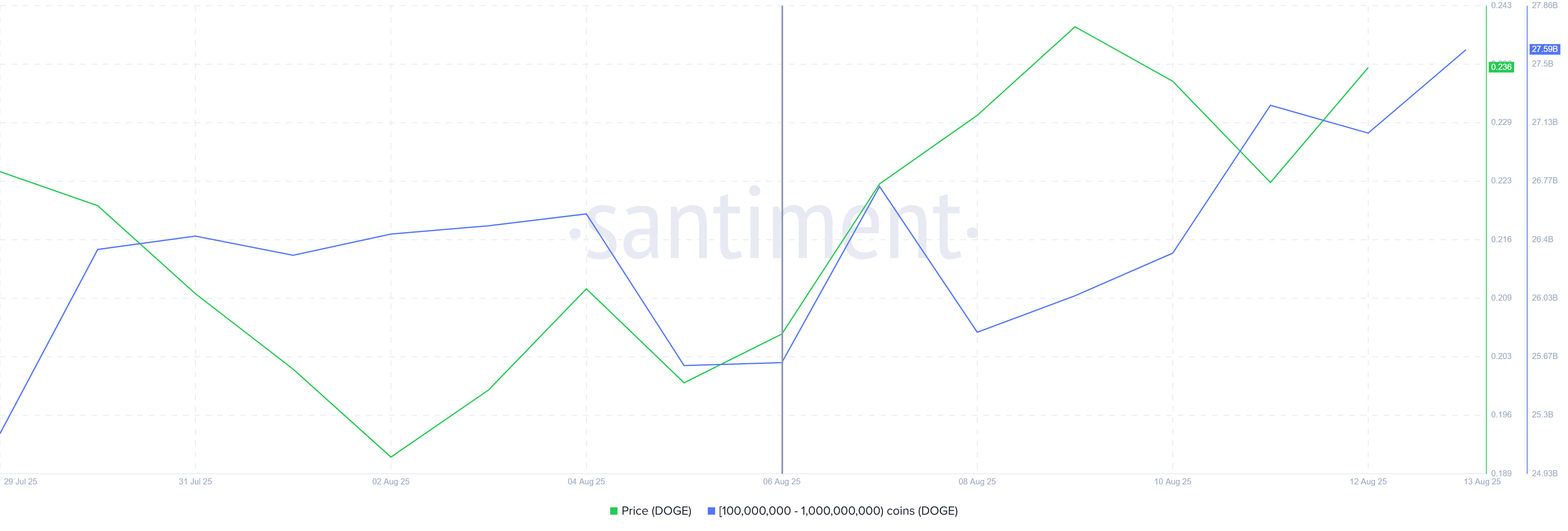 Dogecoin Whale Holdings