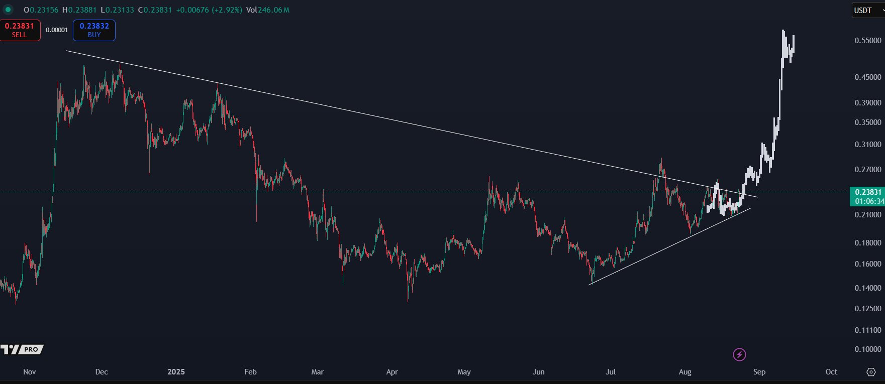 Harga DOGE dengan Pola Segitiga Simetris. Sumber: KALEO.